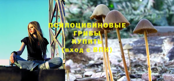 герыч Алзамай