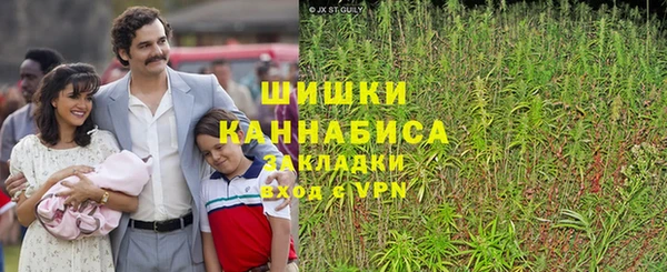 гидра Костерёво