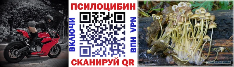 площадка телеграм Иннополис Галлюциногенные грибы Psilocybe blacksprut как войти